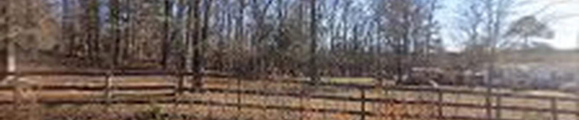 Lone wolf Electrical LLC