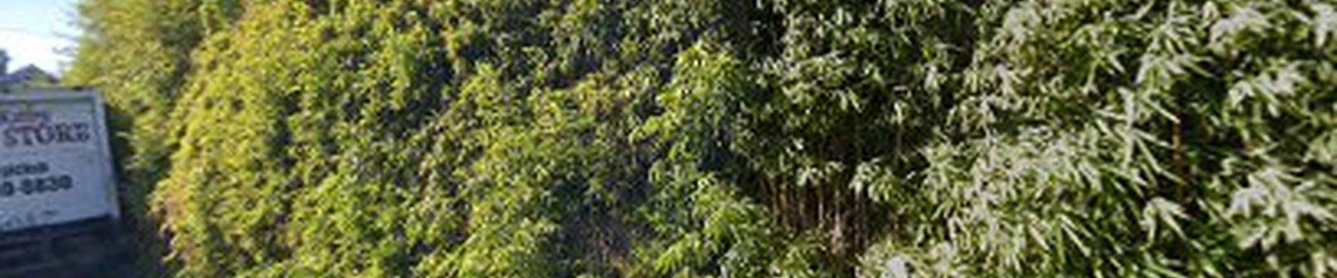 San Juan Capistrano Electrician