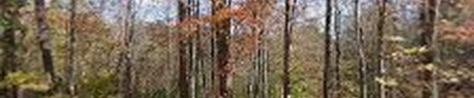 Puckett Electric LLC