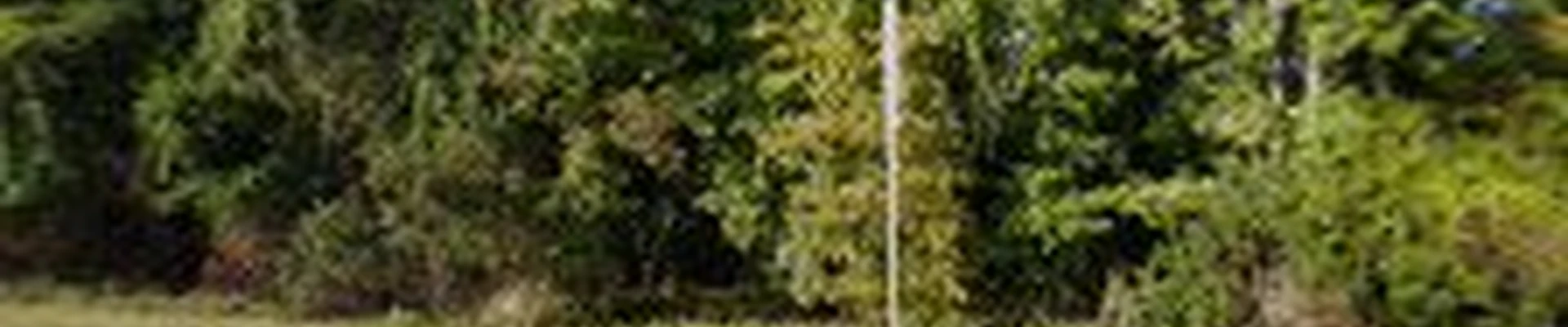 Simpson Electric LLC