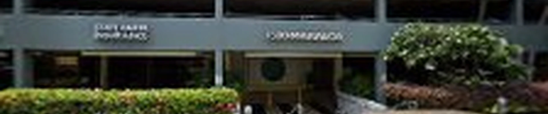 Independent Energy Hawaii