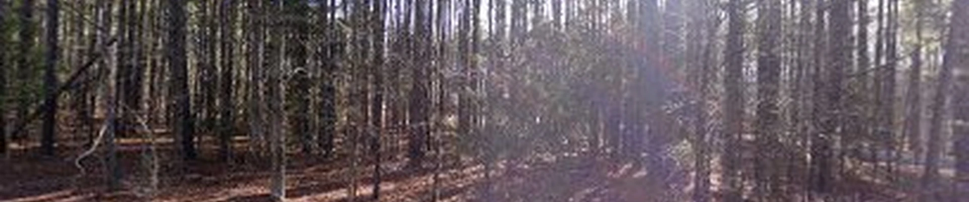 Advanced Electric of Chapel Hill