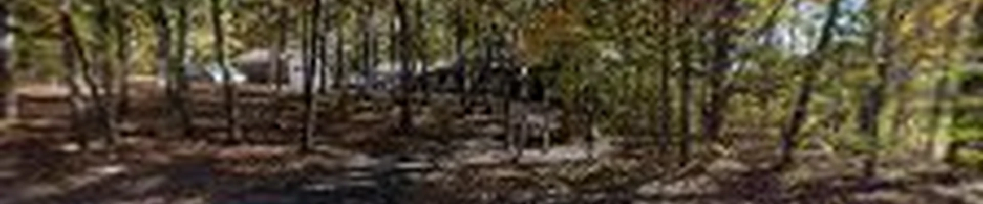 Tyson Services Air Conditioning & Heating