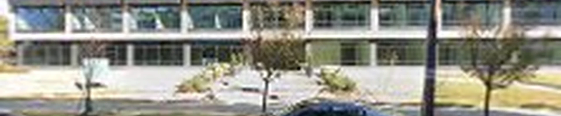 GLOBAL PROPERTY SERVICES LLC
