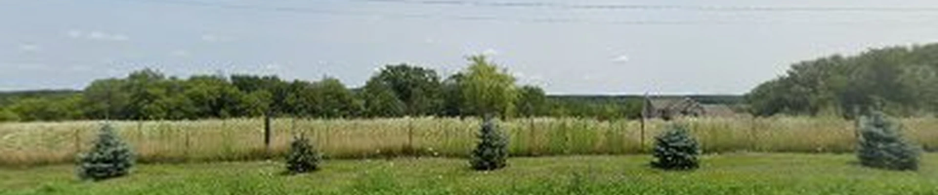 B.D. Trinity Electric