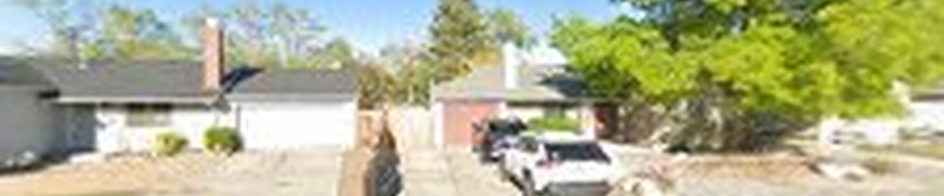 The Luxury Handyman Solutions & Landscaping Services