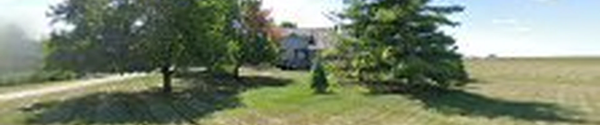 Christmas Decor by Paragon Landscape Inc.