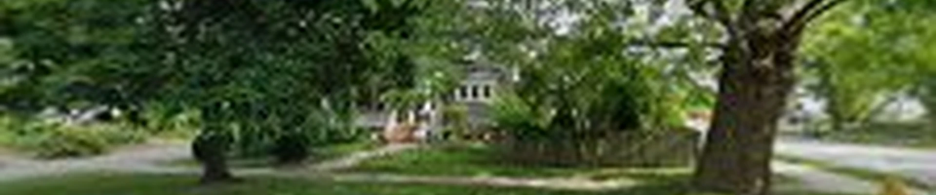 CircuiTree Electrical Solutions | Residential & Commercial Electricians