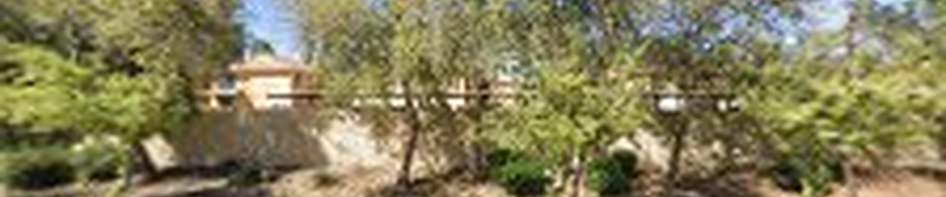 Elite Escapes, LLC - Landscaping