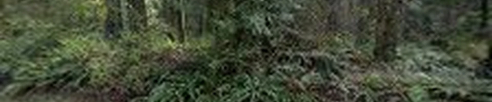 Emerge Electrical LLC