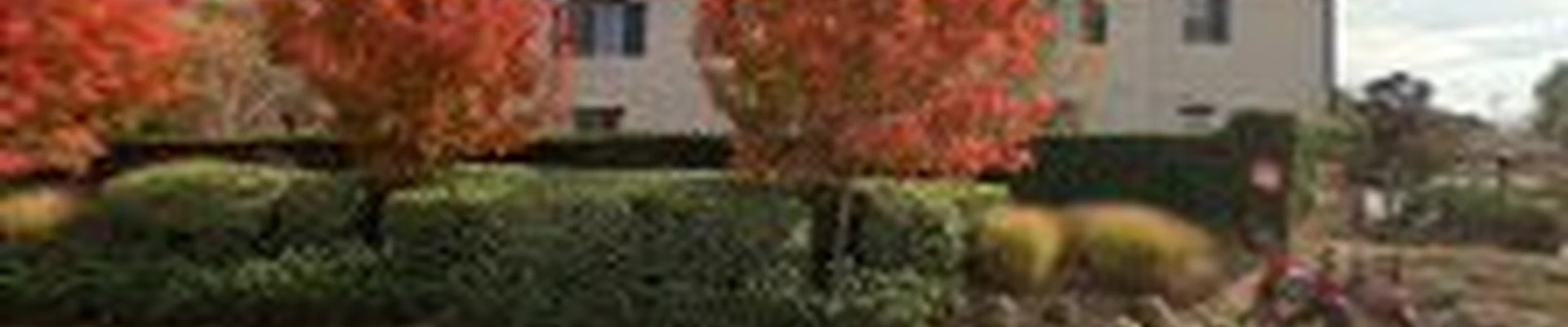 TAC Appliance Services