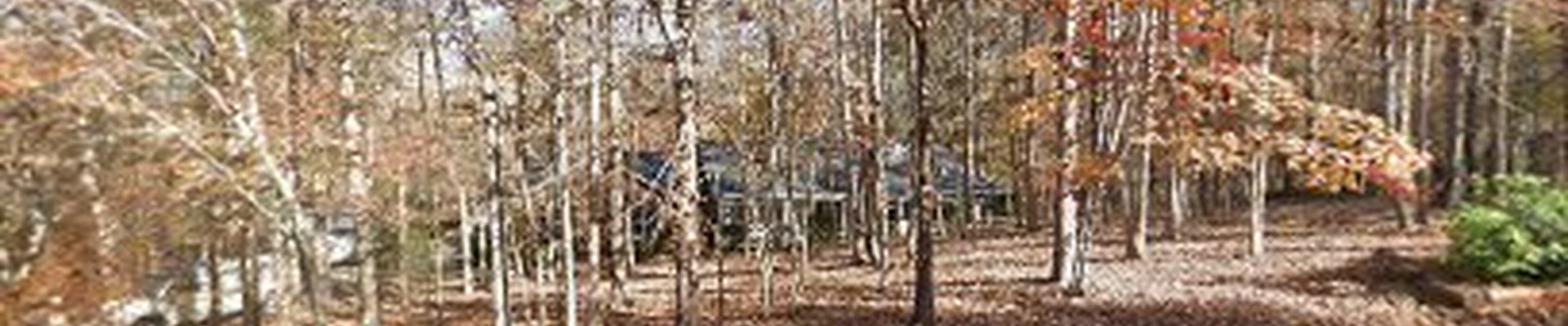 MB Electrical LLC