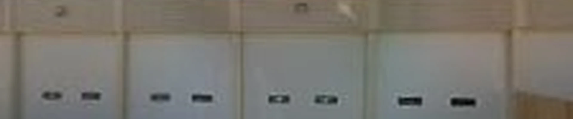 Two Nicks Electric