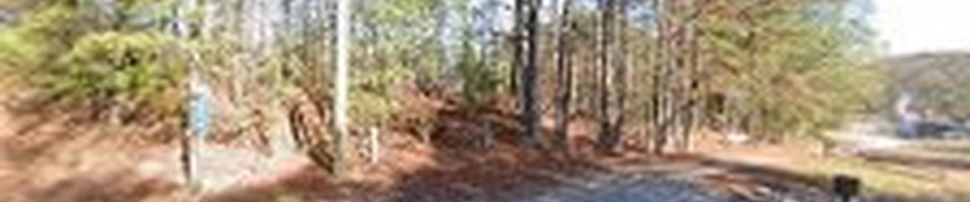 Outdoor Construction Services, LLC
