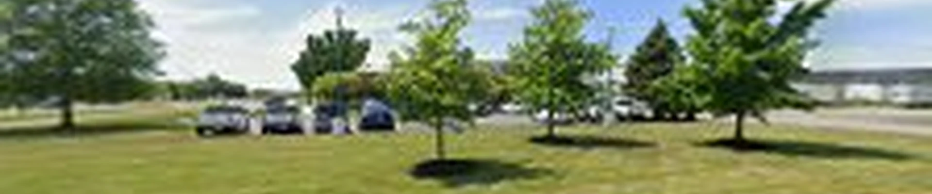 Town & Country Group