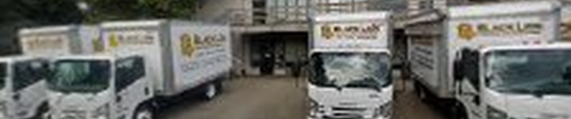 Black Lion Heating, Air Conditioning, & Electrical