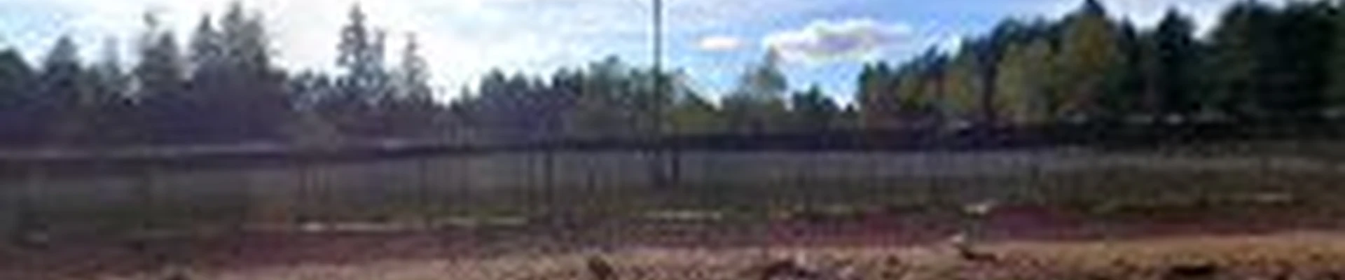 Puget Sound Contracting and Electrical