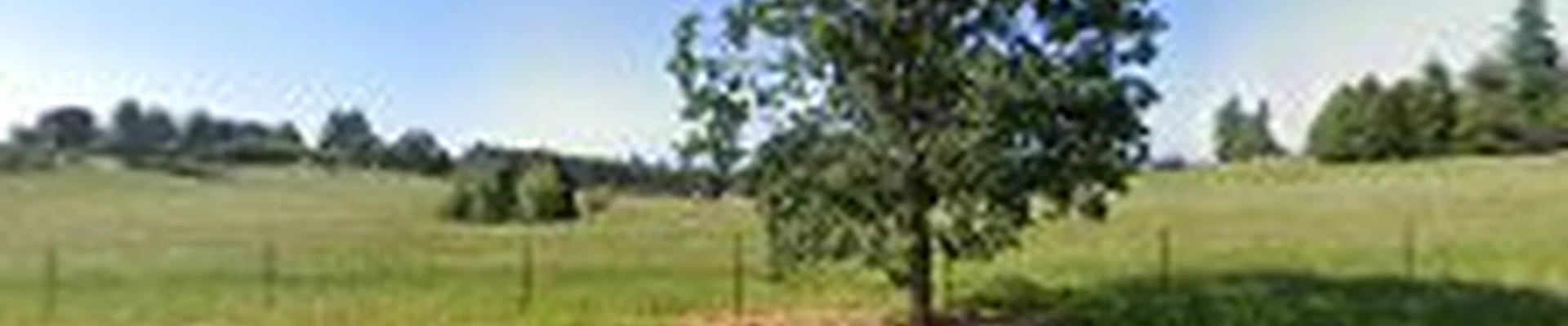 R Welty Electric LLC