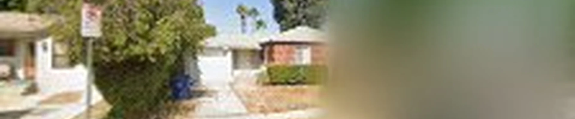 Handyman pro service