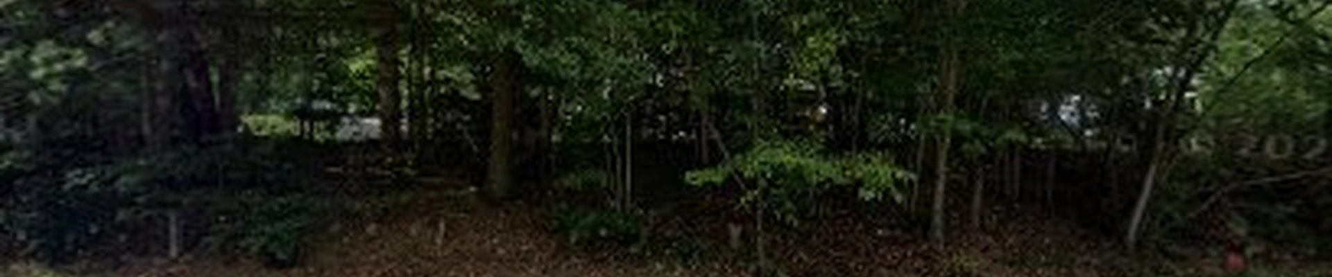 Stephen Greany Electrician