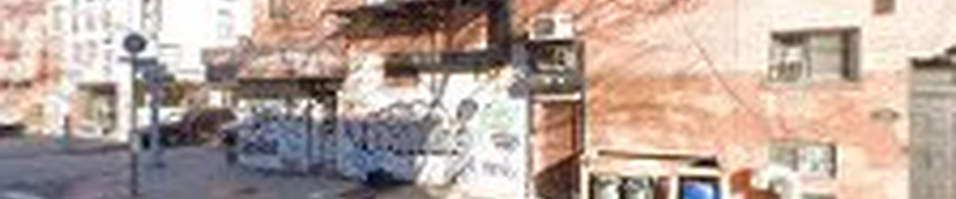 Boerum Hill Handyman & Painter.
