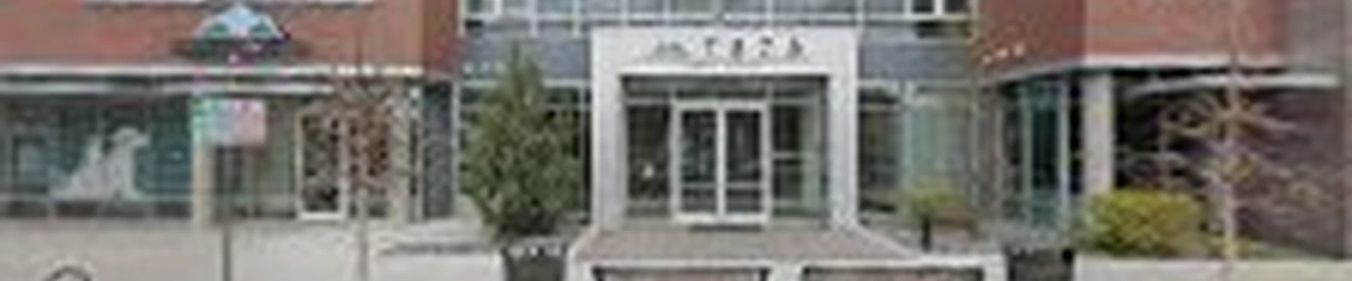 Lion Tech Home Services