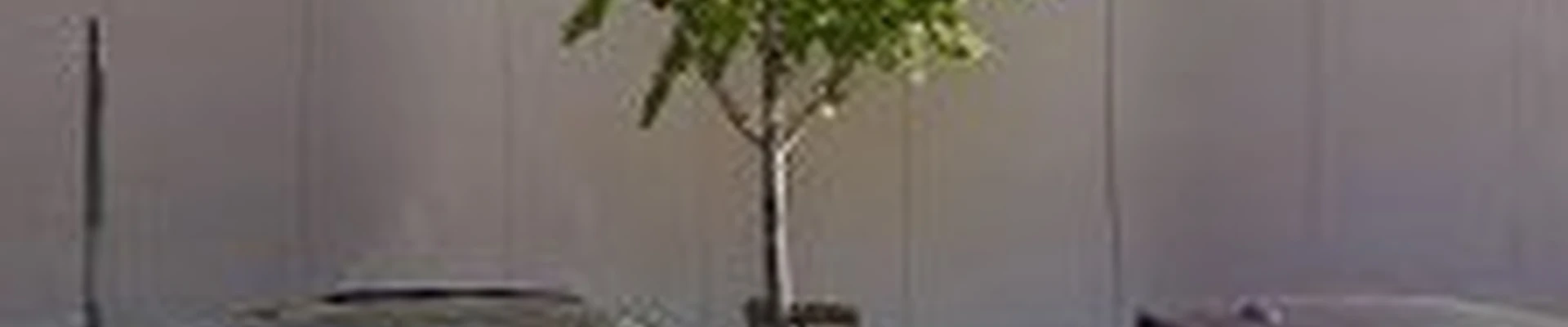 Home Services at The Home Depot
