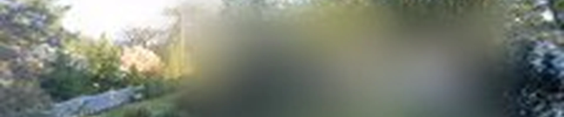 Octomaids