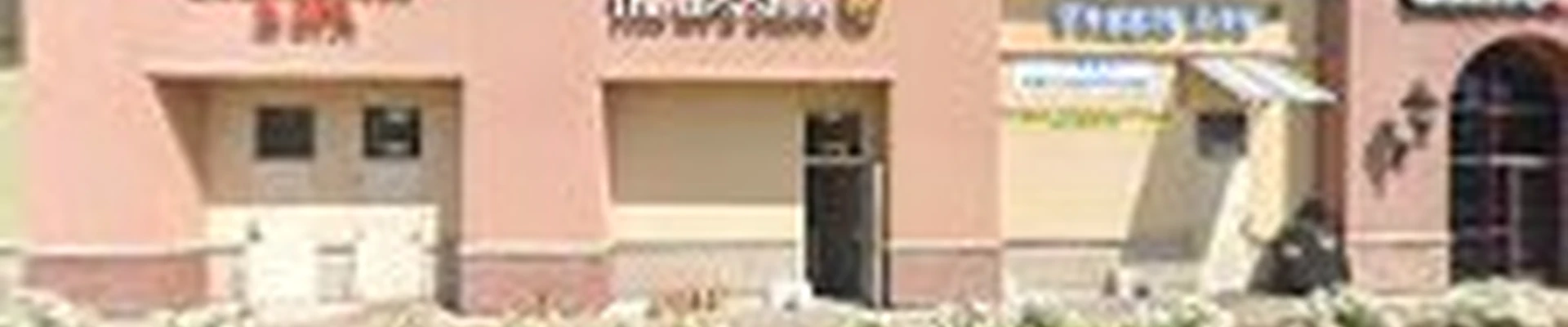 American Chimney Services