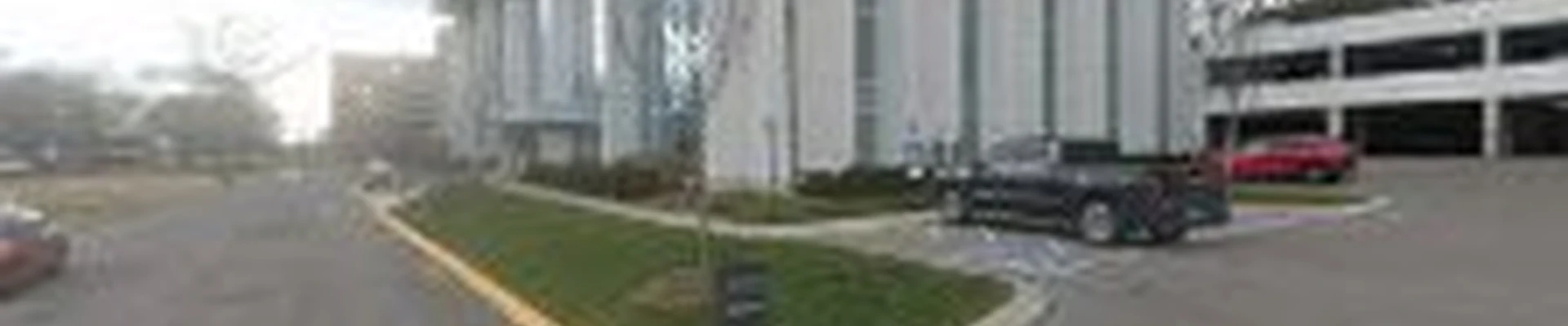 Marble Termite Removal pest control