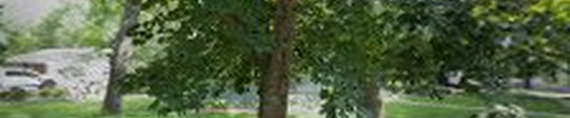 BSF Home LLC