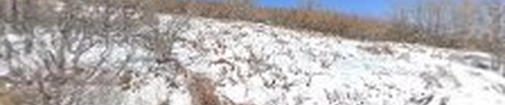 Heaps Peak Disposal Site