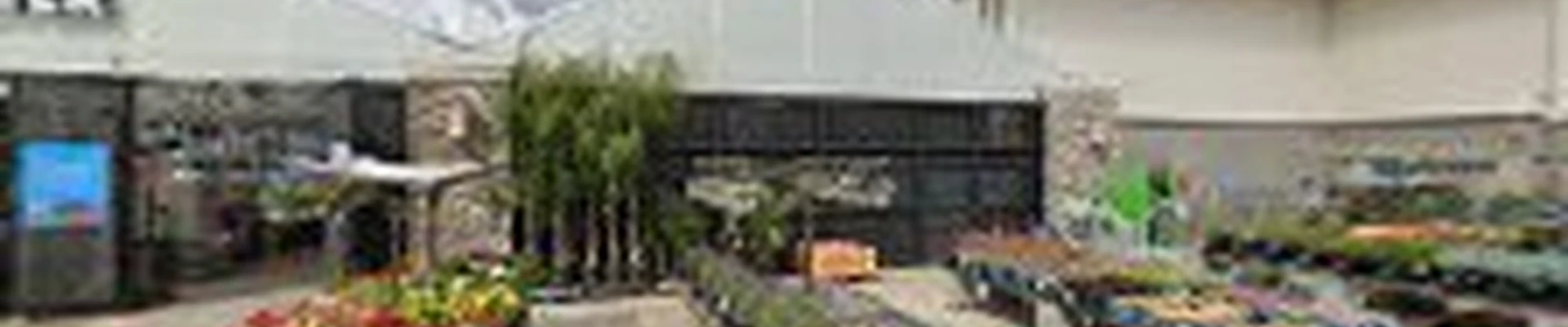 Lowe's Garden Center