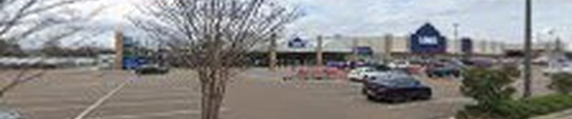 Lowe's Garden Center