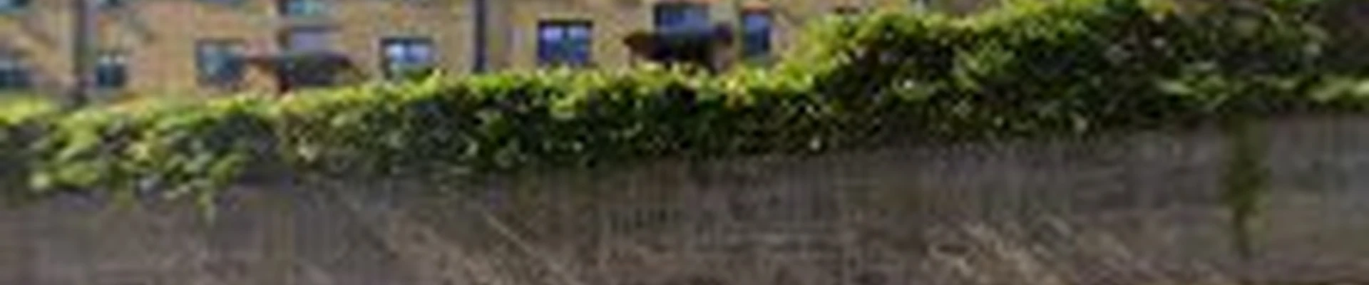 General Contractor. Design Supply Build Co ( Romanoff Growth )