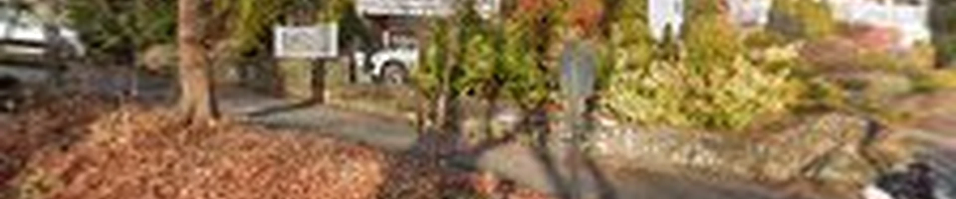 T&T Contractor Guys LLC