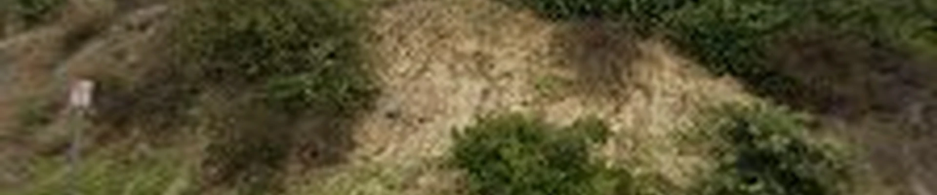 TerraBuild Contractors