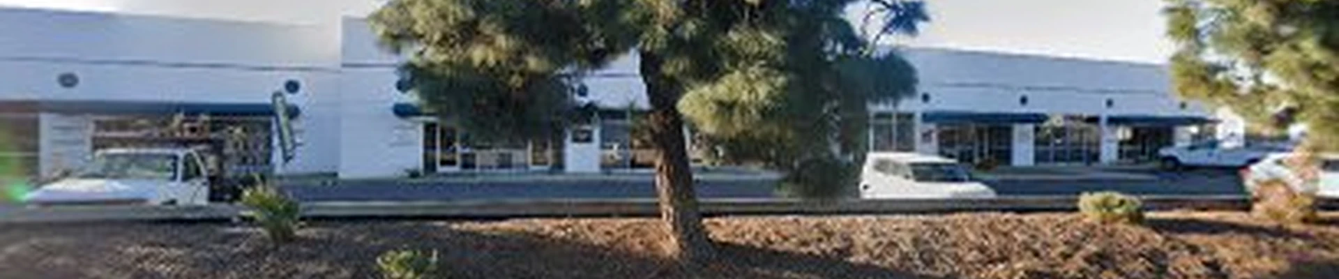 CV Construction and Restoration