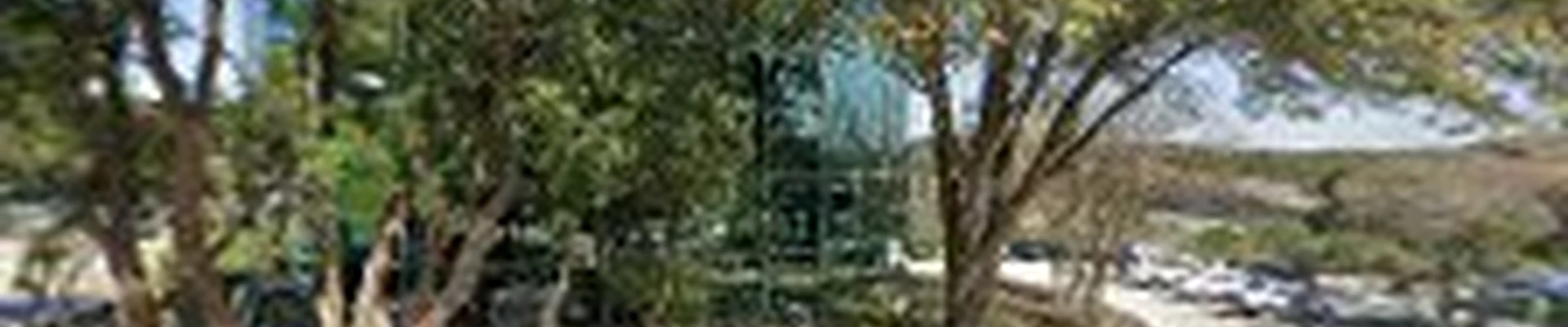 Palm Construction Inc