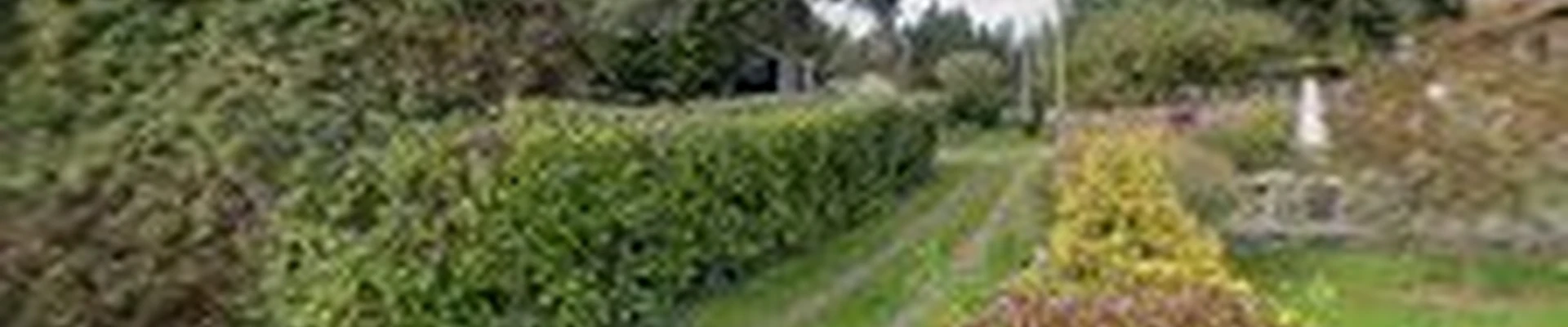 JD Construction | Licensed Independent Contractor Bainbridge Island: Bathrooms, Kitchens, Decks, Remodels & Repairs
