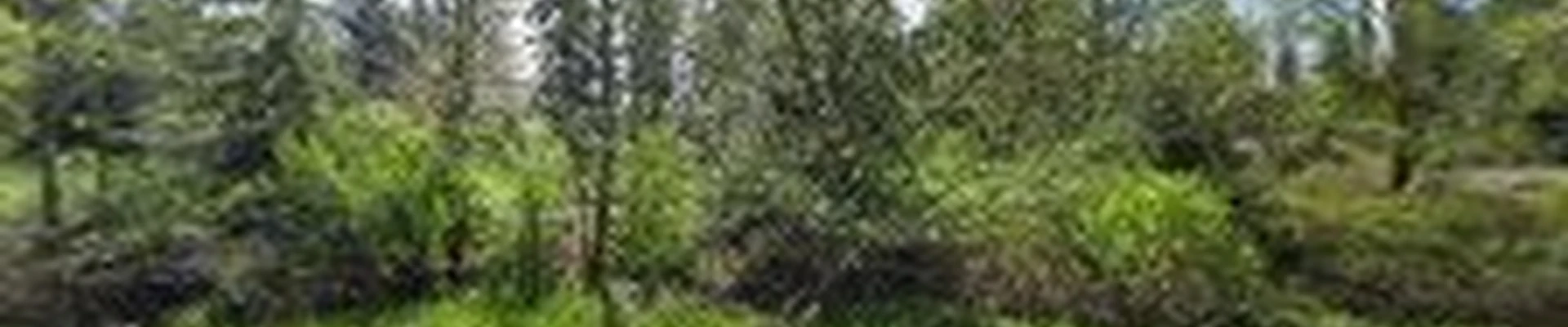 Woodinville Contractors