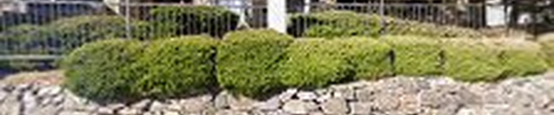 Colorado Outdoor Contractors, LLC