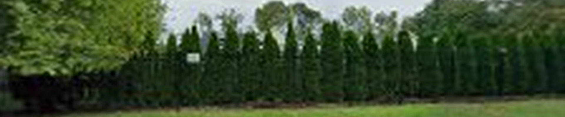 Rock Solid General Contractor, Inc.