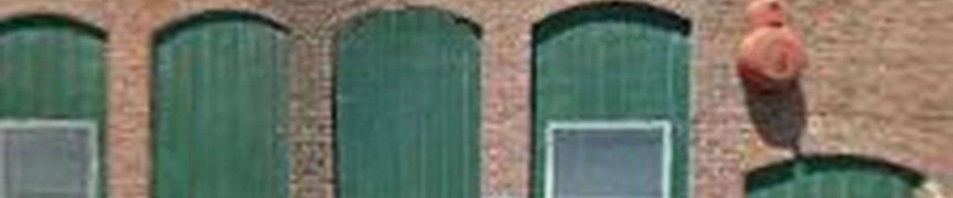 Nexus General Contractor & Construction