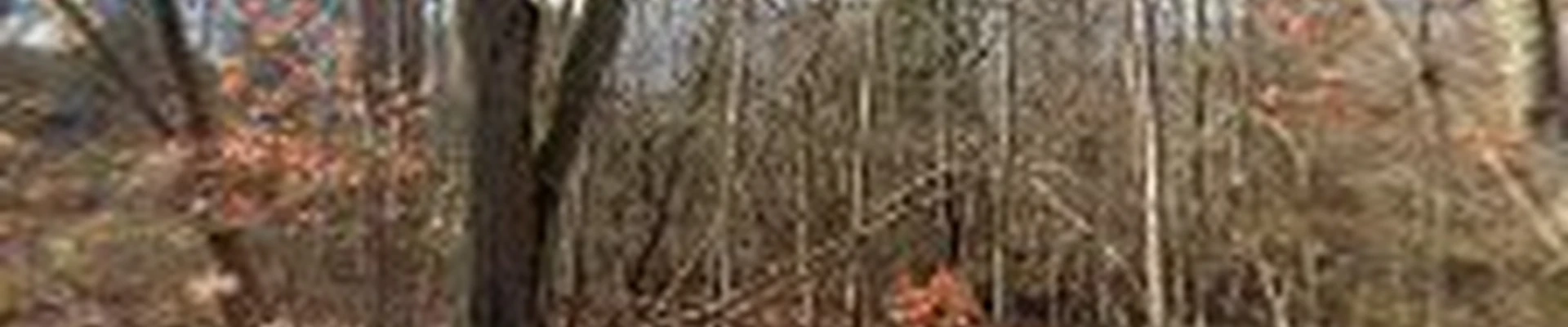 Southcoast Building LLC,
