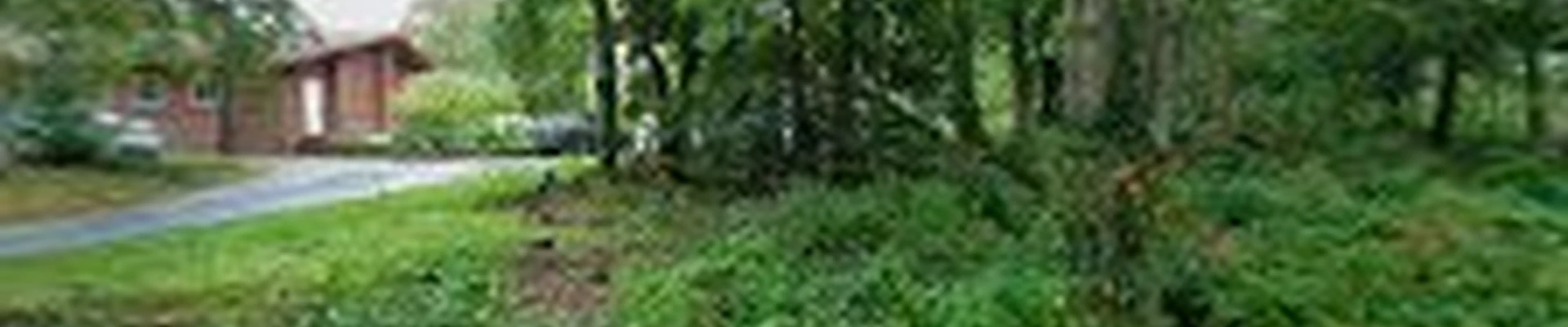 Campagna Carpentry and Landscape