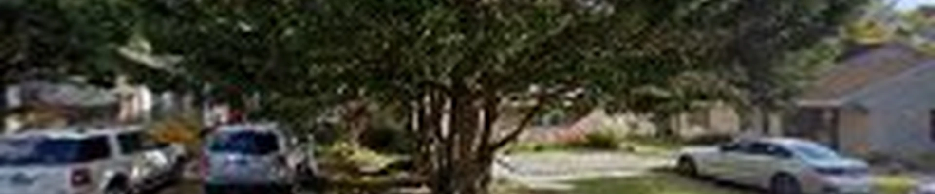 Paragon Contracting