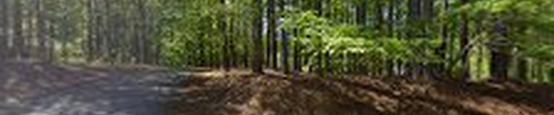 Southern Specialty Contractor LLC