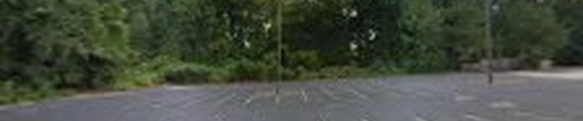 carolinacontractingsolutions
