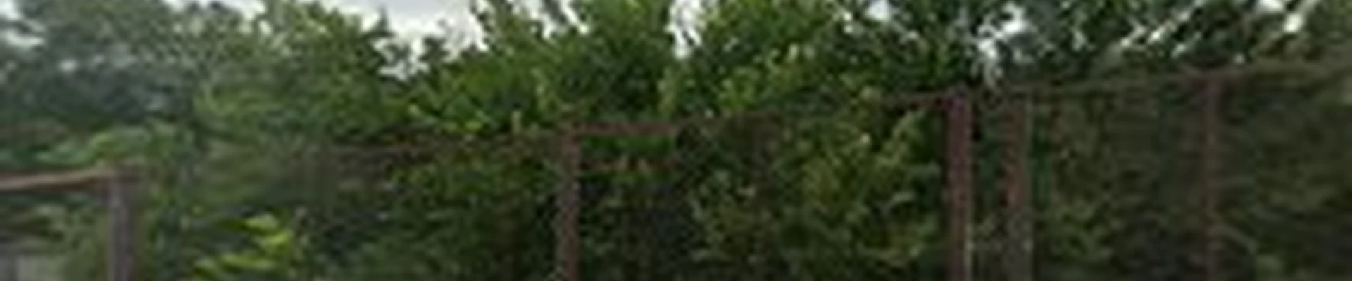 Southern Style Construction Inc